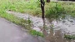 Парк железнодорожников на улице Л.Толстого топит из-за забитых арыков