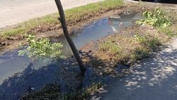 На улице Абдрахманова застой воды в арыках