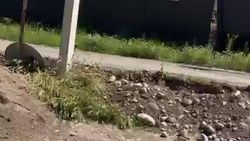 В 8 мкр не доделали арык, деревья обрезали и оставили, на улице валяются лотки, - горожанин