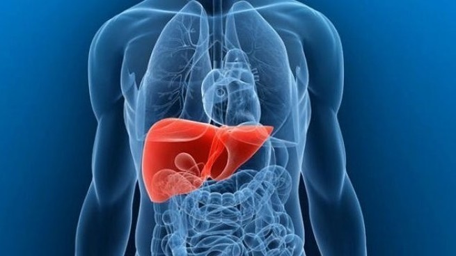 100 citizens need liver transplants in Kyrgyzstan every year