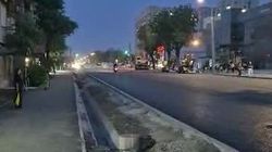 Будут ли сажать новые деревья на место вырубленных по Л.Толстого?