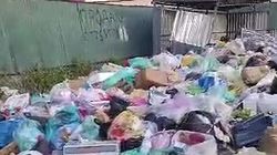 На улице Футбольная города Шопоков не вывозят мусор. Видео жителя