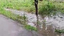 В мэрии ответили по парку железнодорожников на улице Л.Толстого, который затапливало из-за забитых арыков