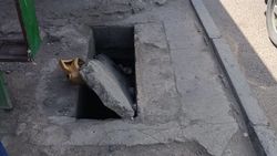 Дефекты на остановке на Абдрахманова—Жибек Жолу устранят в ближайшее время, - мэрия
