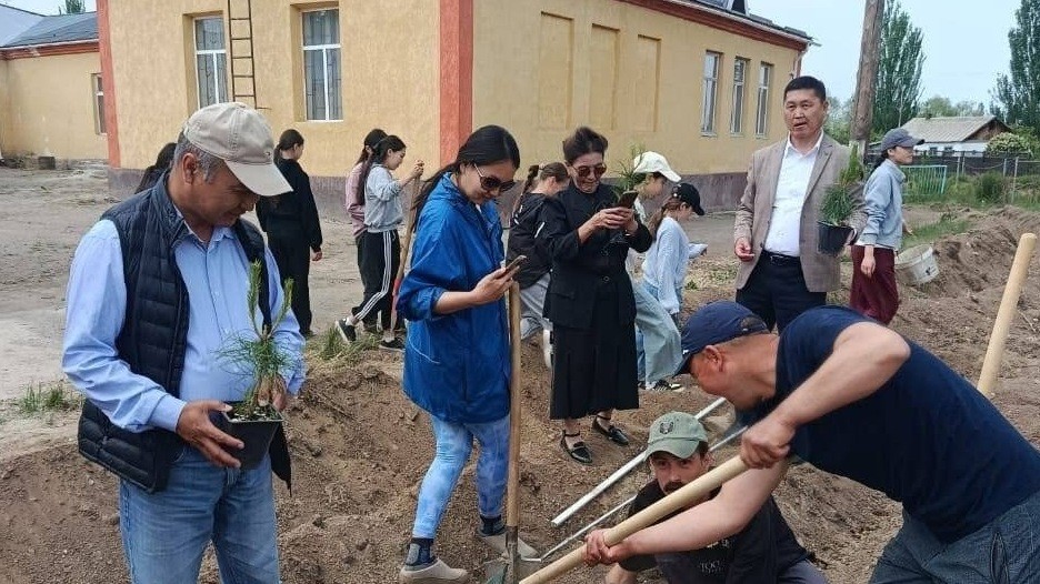 Россиянин подарил 200 саженцев сосны и клена школе в Оргочорском айыльном аймаке