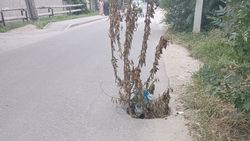 На улице Садовая открытый колодец