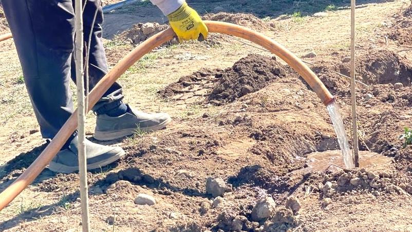 В городе Узген 14 жителей, использовавших питьевую воду для полива огородов, оштрафованы