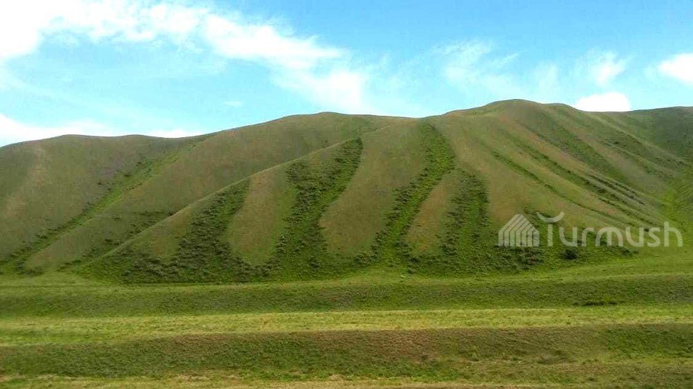 На склоне горы написано «Аллах»? Житель Ак-Талы показал фото