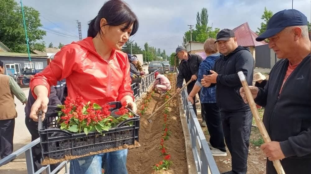 В селе Семетей Манасского района высадили 2,5 тыс. декоративных цветов
