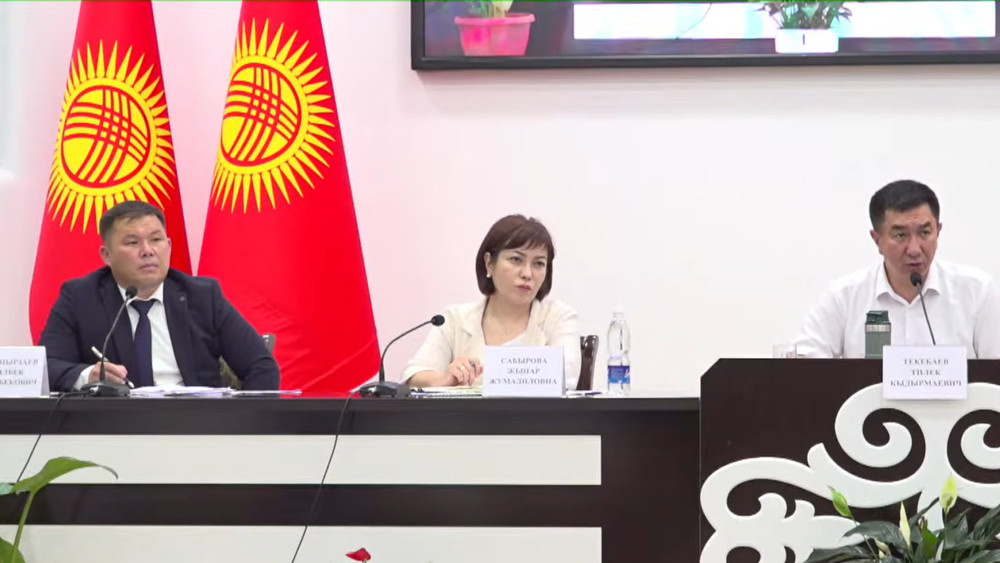 На встрече с полпредом Текебаевым экс-спикер горкенеша Кара-Куля обвинил действующего главу в запугивании