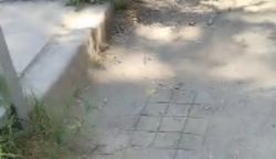 Горожанин просит установить урны и постелить резиновое покрытие на спортплощадке в парке Фучика