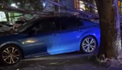 Дерево, придавившее машину в 7 мкр, распилено и убрано