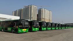 Житель просит запустить автобус от села Лебединовка до Лермонтова и Шабдан Баатыра