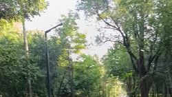 Освещение в парке им.Ататюрка горит в светлое время