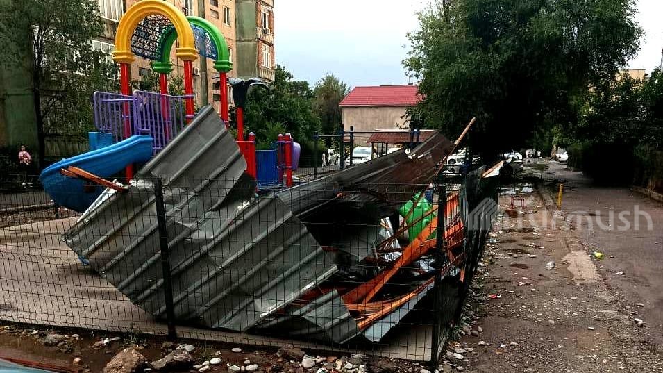 В городе Манас 2 человека пострадали от падения деревьев в сильный ветер