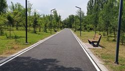Почему в парке Ататюрка нет урн? Фото горожанина