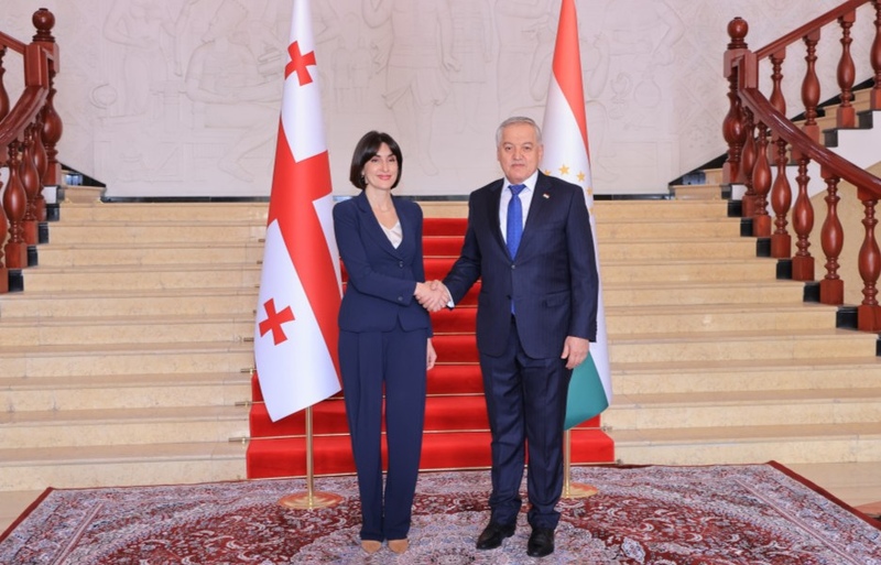 Foreign Ministers of Tajikistan and Georgia discuss cooperation