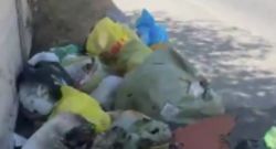 На улице Арстанбап в Кок-Жаре свалка мусора. Житель просит вывезти ее