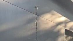 Из павильона на остановке Шота Руставелли по Ахунбаева вытекает вода