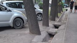 На Молодой Гвардии—Рыскулова деревья закатали в асфальт
