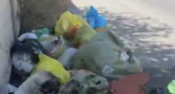 Свалка на улице Арстанбап в Кок-Жаре убрана, - «Тазалык»