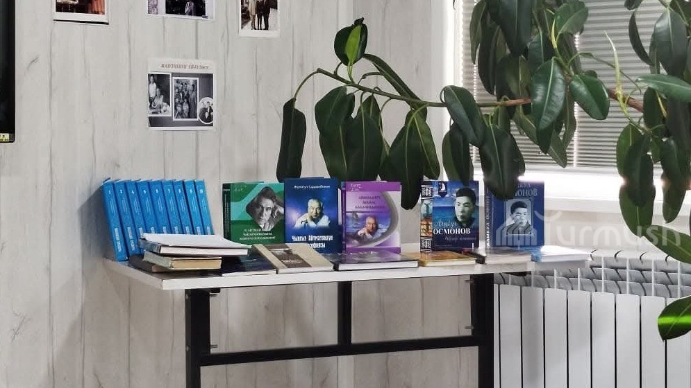Какие книги сегодня в тренде? В Ат-Башы вырос спрос на историческую литературу и книги на кыргызском языке