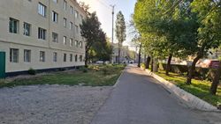 Горожанка: Почему спилили кустарники на Манаса—Московской?