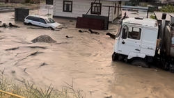 Потоки воды унесли отару овец