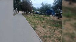 Деревья возле рынка Сары-Өзөн по Фучика сохнут, - горожанин