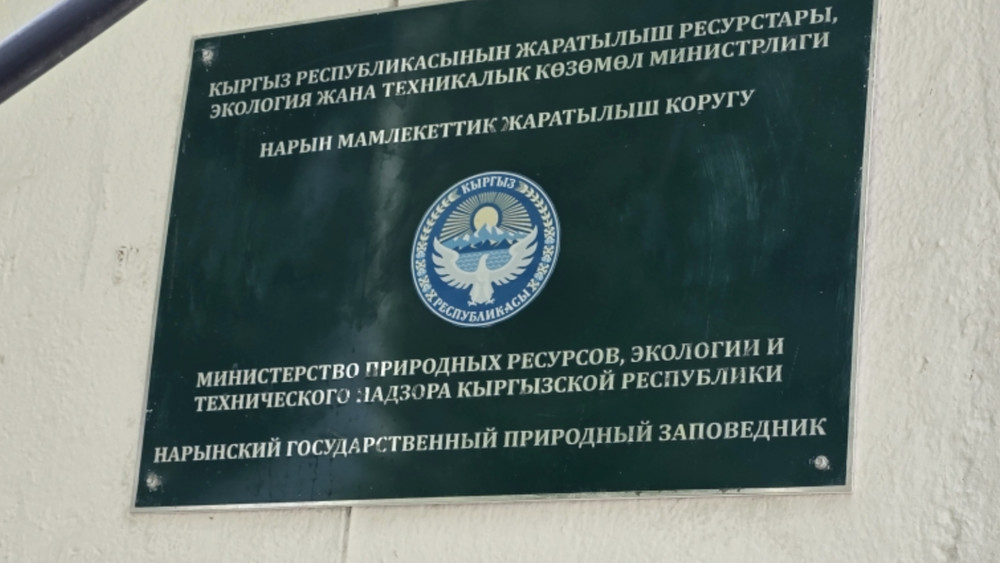 Снежный барс, рысь и марал: кто обитает в Нарынском природном заповеднике