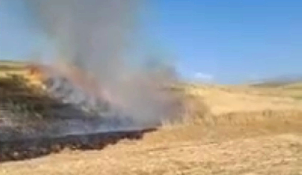 В Узгенском районе загорелась сухая трава: огонь перекинулся на посевы ячменя