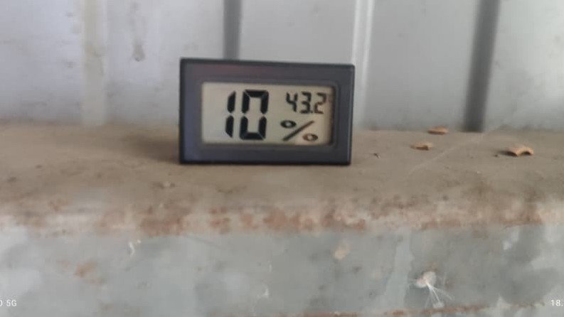 Жара в Кара-Куле: температура воздуха достигла +43,2 °C