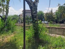 В Бишкеке на аллее свисает открытый электрический провод, - горожанин
