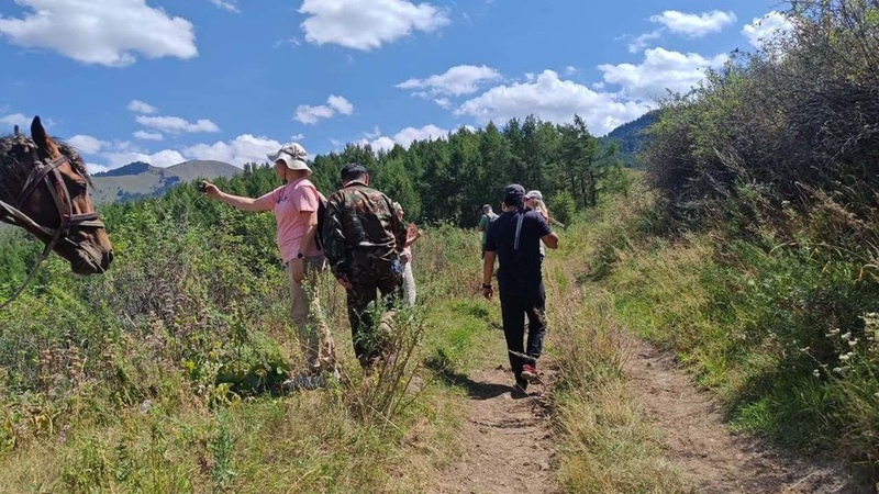 Russian specialists join Kyrgyz scientists to inspect Chon-Kemin forests for pine pests