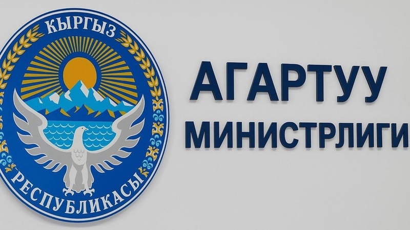 Ministry of Education rejects claims over 137.4 million som e-Kundoluk digital platform contract