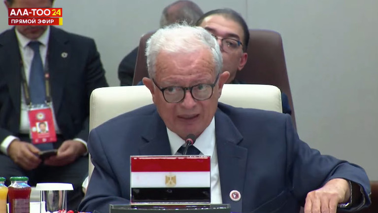 Deputy Prime Minister of Egypt highlights importance of reforms in UN that will take into account views of developing countries
