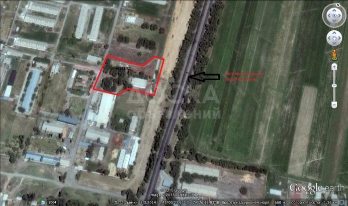 Конезавод породистых лошадей