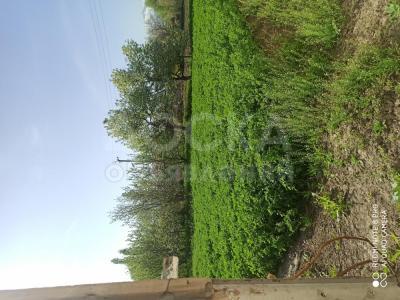 Продаю дом 5+Хол+кухня -ком. 150кв. м., этаж-1, 35-сот., стена кирпич, С. Беловодское .