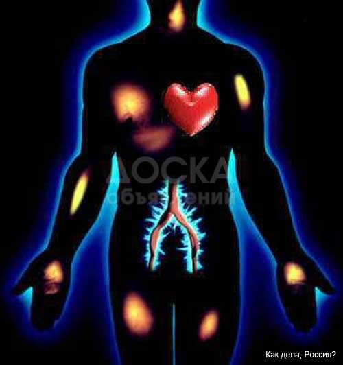 Полное тестирование всего организма