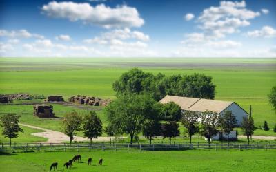 ТЕЗ АРАДА ДЫЙКАН ЧАРБАЧЫЛЫГЫ САТЫЛАТ
 Аянты 31 гектар 
Суугат жер, айдоо жерлери, жайыты, балыктары менен 4 көл, бак-дарактары, сарай, турак-жайы бар 
Кара-Балта шаарынын жанында, БЧКнын жээгинде 
Документтери толук