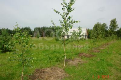 Продаю участок сельхоз назначения, 20 га Россия, Калужская область.