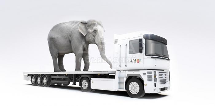 Международные грузоперевозки в/из KG-KZ-EU-RU и другие страны!