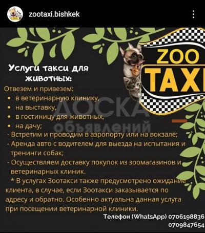 Зоотакси. Ваш любимец заболел  или вам нужно отвезти его на выставку. Но обычное такси отказывается вас вести, тогда вам нужны именно мы) доставим вашего питомца в любую точку города и за пределы. Пишите в ватсап , чтобы мы могли посчитать стоимость от то