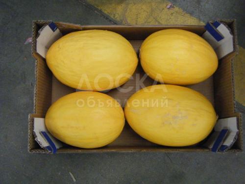 Дыни из Испании