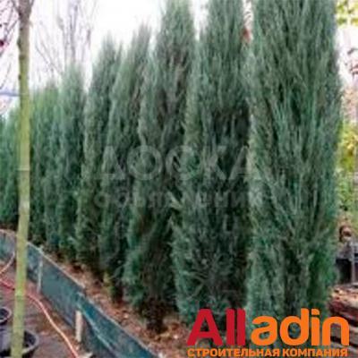 ландшафтный дизайн под ключ в бишкеке!