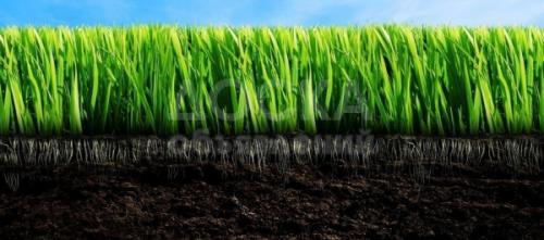 Чернозем и перегной