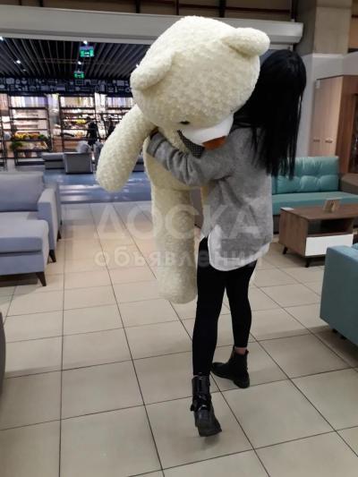 Плюшевый мишка