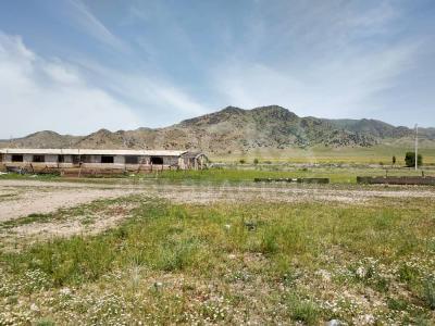 г. Токмок. г. Токмок.