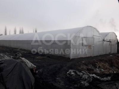 Продаю действующую теплицу поликарб. и 2 я пленка 15 км от Бишкека