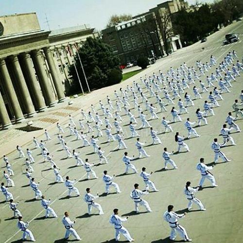 Таэквон-до ИТФ!